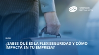 flexiseguridad